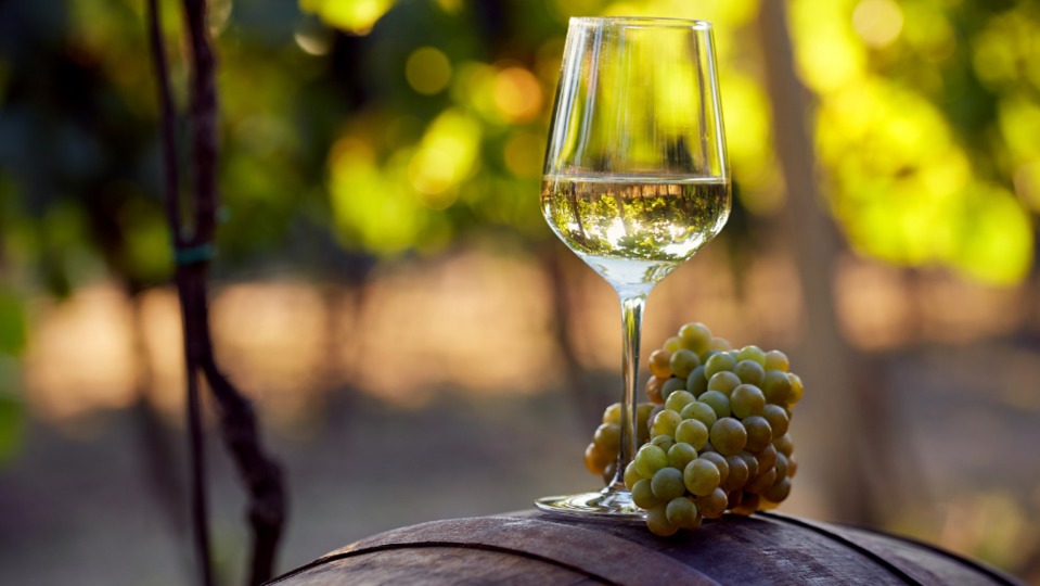 Walk through the vineyards